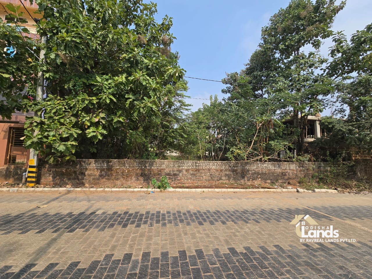 12000 Sqft Land sale in patrapada